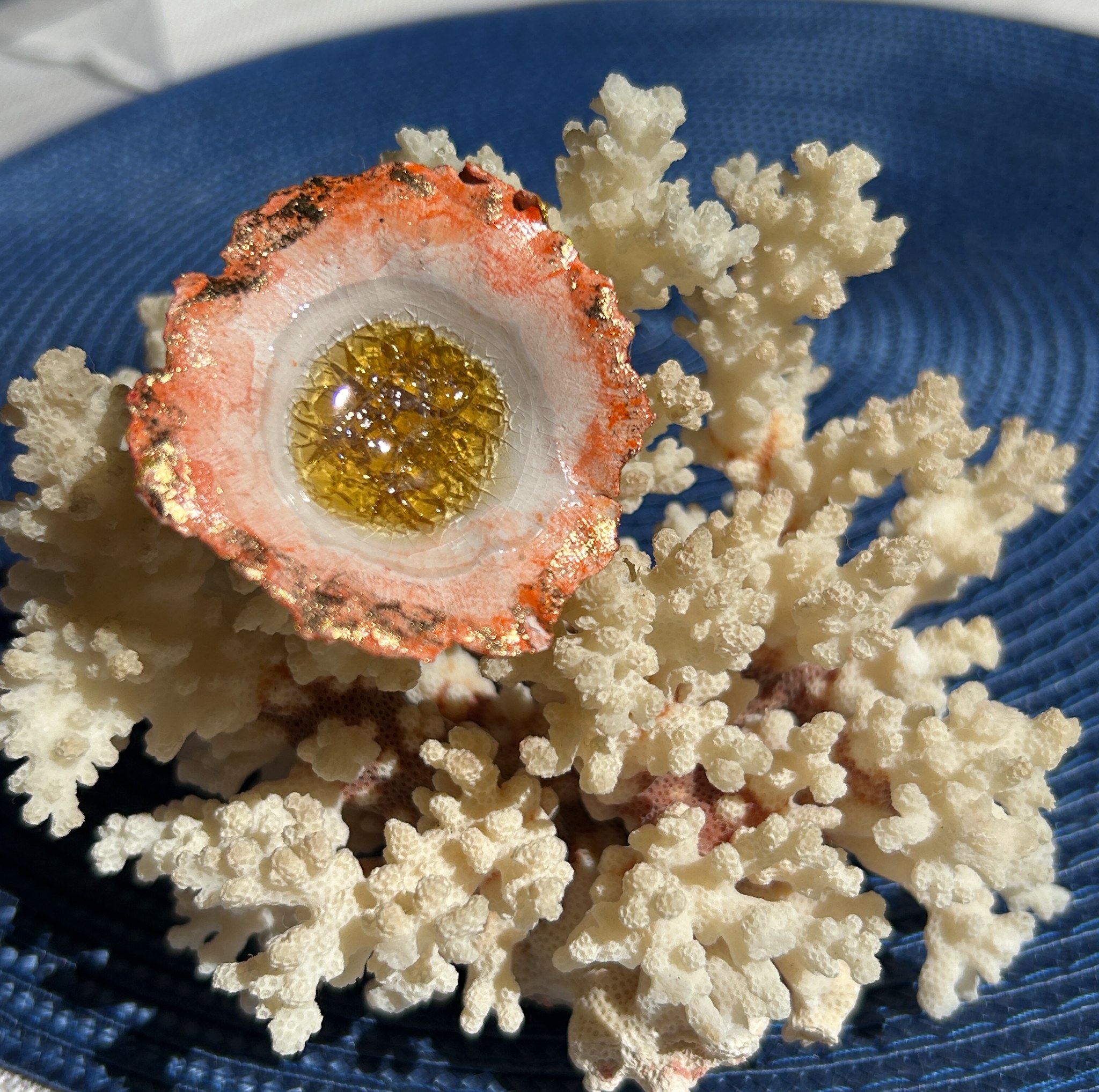 Coral Eye