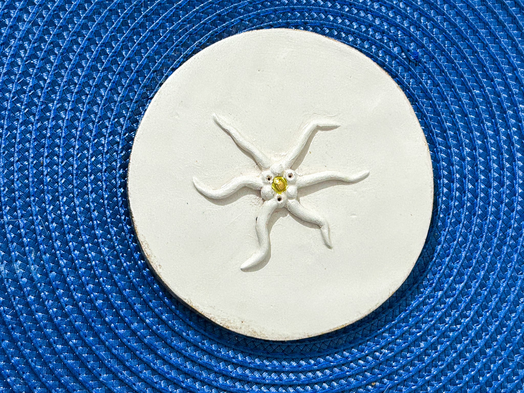 Star of Still Water